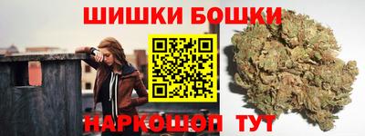 крисы Кингисепп