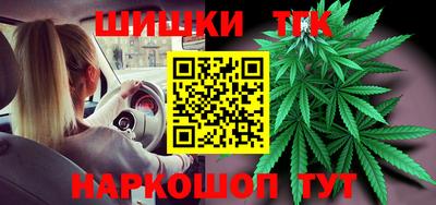 крисы Кингисепп