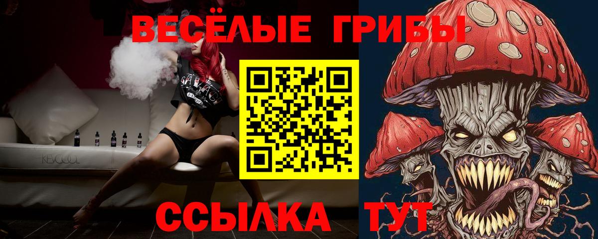 Галлюциногенные грибы Cubensis  Вход с VPN  Кунгур 